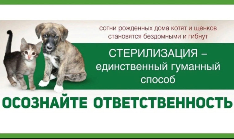 О проведении бесплатной и льготной стерилизации домашних животных (собак и кошек)..